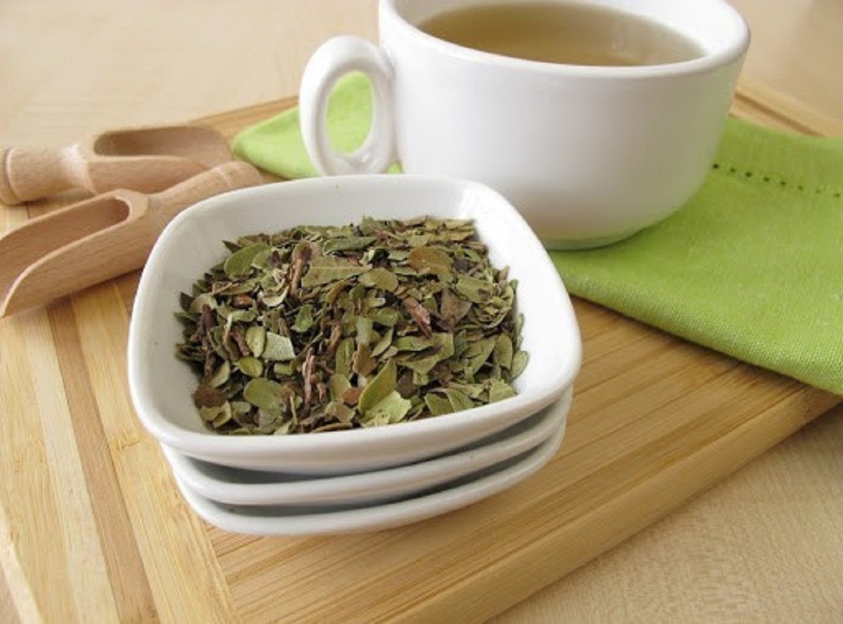 Leia mais sobre o artigo Conheça o Poderoso Chá de Uva Ursina