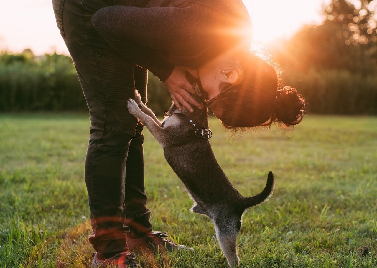 Leia mais sobre o artigo Terapias Alternativas Eficazes para Depressão