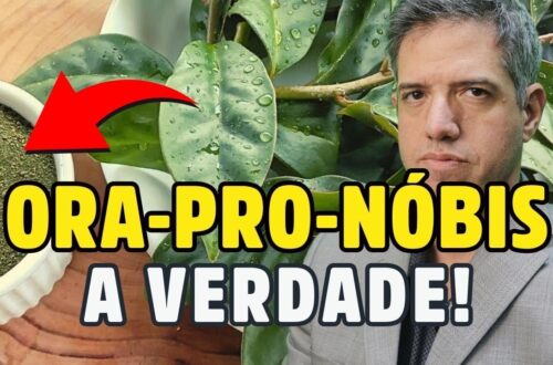 O-SEGREDO-sobre-A-FORMA-CORRETA-DE-USAR-a-ORA-PRO-NOBIS-como-fonte-de-PROTEINA-Dr-Alain-Dutra