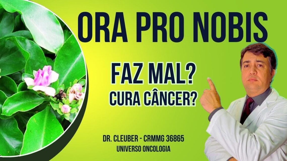 Ora-Pro-Nobis-Beneficios-e-Riscos