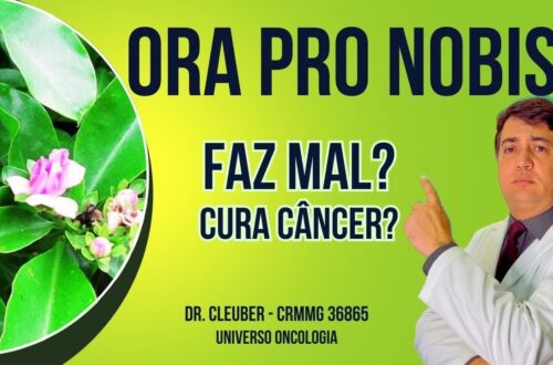 Ora-Pro-Nobis-Beneficios-e-Riscos