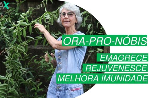 Ora-pro-nobis-Emagrece-Rejuvenesce-Melhora-Imunidade