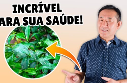 Ora-pro-nobis-Incrivel-Planta-Medicinal-Peter-Liu