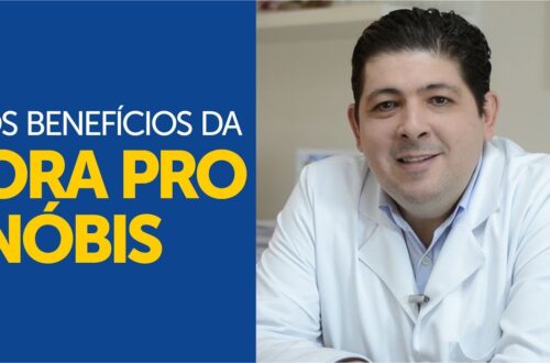 Os-beneficios-da-planta-ORA-PRO-NOBIS-para-a-nossa-saude