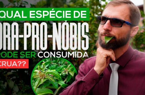 PODE-COMER-ORA-PRO-NOBIS-CRUA-TUDO-QUE-VOCE-PRECISA-SABER-SOBRE-ESSA-INCRIVEL-PLANTA