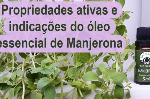 Propriedades-e-indicacoes-do-oleo-essencial-de-manjerona